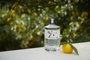 Roku Gin